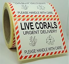 250 live corals for sale  Delivered anywhere in Ireland