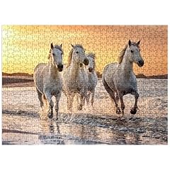 White camargue horses for sale  Delivered anywhere in USA 