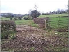 Gateway patching paddock for sale  Delivered anywhere in UK