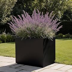 Idealist 60cm large for sale  Delivered anywhere in UK