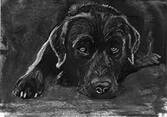 Black labrador charcoal for sale  Delivered anywhere in UK