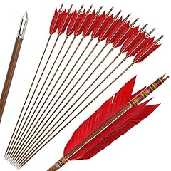 Zshjgjr archery hunting for sale  Delivered anywhere in USA 