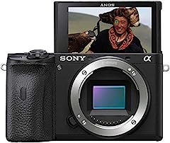 Sony alpha 6600 for sale  Delivered anywhere in Ireland