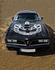 Vintage pontiac trans for sale  Delivered anywhere in USA 