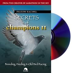 Pigeon racing secrets for sale  Delivered anywhere in Ireland