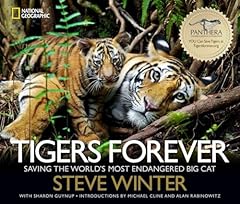 Tigers forever saving for sale  Delivered anywhere in UK