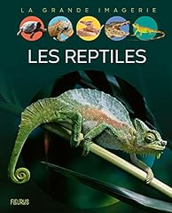 Reptiles d'occasion  Livré partout en France