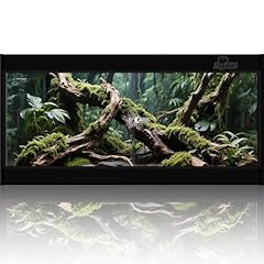 Gallon pvc reptile for sale  Delivered anywhere in USA 