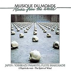 The spirit silence d'occasion  Livré partout en France