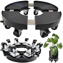 Noamoo inch plant for sale  Delivered anywhere in USA 