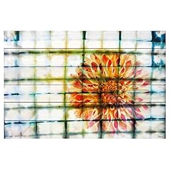 Parvez taj peacock for sale  Delivered anywhere in USA 
