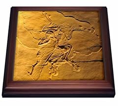 3drose archaeopteryx jurassic for sale  Delivered anywhere in USA 