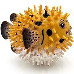 Gemini genius pufferfish for sale  Delivered anywhere in USA 