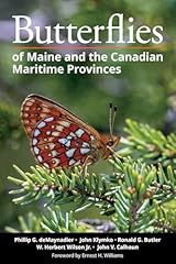 Butterflies maine canadian for sale  Delivered anywhere in USA 