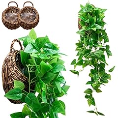 Tapeera pack artificial for sale  Delivered anywhere in USA 
