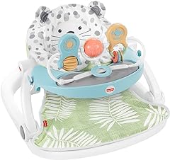 Fisher price deluxe for sale  Delivered anywhere in USA 