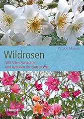 Wildrosen 500 arten gebraucht kaufen  Wird an jeden Ort in Deutschland