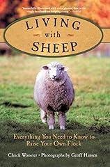 Living sheep everything for sale  Delivered anywhere in USA 