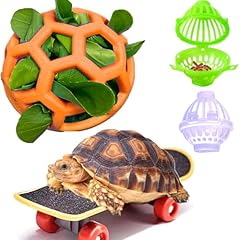 Tortoise treat ball for sale  Delivered anywhere in USA 