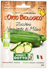 Sdd o.bio zucchino usato  Spedito ovunque in Italia 