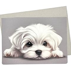 Adorable maltese card for sale  Delivered anywhere in USA 