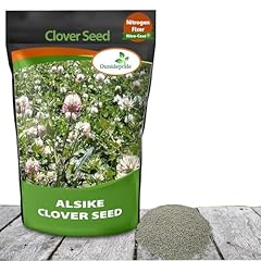 Outsidepride biennial alsike for sale  Delivered anywhere in USA 