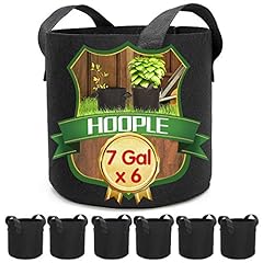 Hoople 6pack gallon for sale  Delivered anywhere in USA 