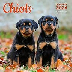 Chiots calendrier septembre d'occasion  Livré partout en Belgiqu