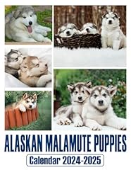 Alaskan malamute puppies for sale  Delivered anywhere in USA 