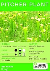 Exotic pitcher plant for sale  Delivered anywhere in USA 