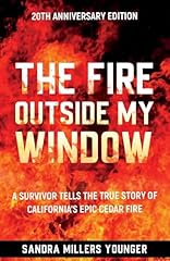 Fire outside window for sale  Delivered anywhere in USA 