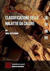 Wen bing tiao usato  Spedito ovunque in Italia 
