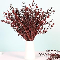 Dried eucalyptus leaves for sale  Delivered anywhere in USA 
