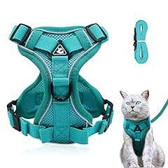 Cat harness lead for sale  Delivered anywhere in UK