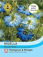 Thompson morgan flowers for sale  Delivered anywhere in UK
