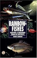 Guide owning rainbow for sale  Delivered anywhere in Ireland