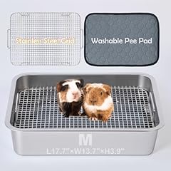 Meexpaws guinea pig for sale  Delivered anywhere in USA 