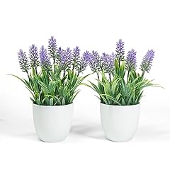Ferrisland fake plants for sale  Delivered anywhere in USA 