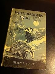 Badgers wake for sale  Delivered anywhere in UK