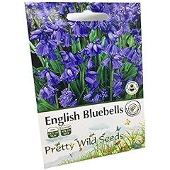 Bluebell hyacinthoides non for sale  Delivered anywhere in UK