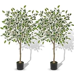 Pack ficus artificial for sale  Delivered anywhere in USA 