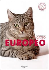 Gatto europeo usato  Spedito ovunque in Italia 