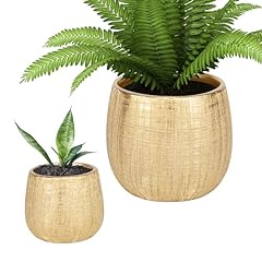 Lyitsent plant pots for sale  Delivered anywhere in USA 