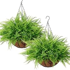 Lomohoo artificial plants for sale  Delivered anywhere in UK
