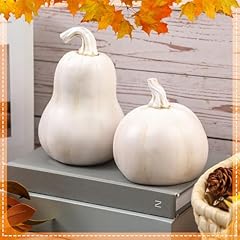 Bucherry pcs pumpkin for sale  Delivered anywhere in USA 