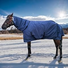 Winter horse blanket for sale  Delivered anywhere in USA 