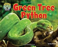 Green tree python for sale  Delivered anywhere in USA 