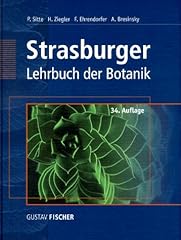 Strasburger lehrbuch botanik gebraucht kaufen  Wird an jeden Ort in Deutschland