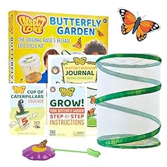 Insect lore raise for sale  Delivered anywhere in USA 
