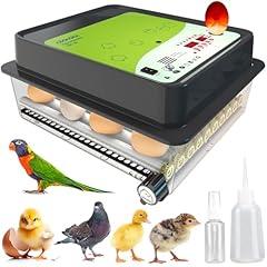 Okköbi obi egg for sale  Delivered anywhere in UK